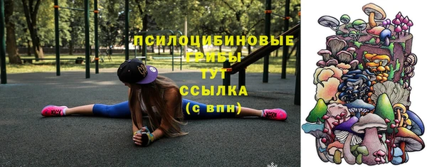 хмурый Надым