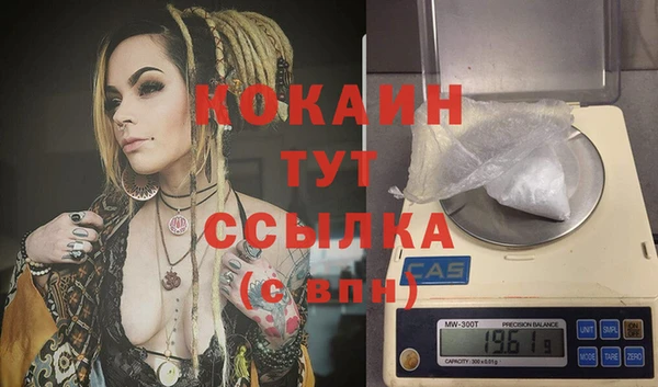 индика Инсар