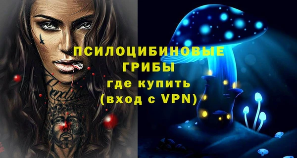 мяу мяу мука Белокуриха