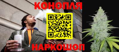 гидропоника Берёзовский