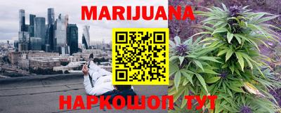 стаф Кимры