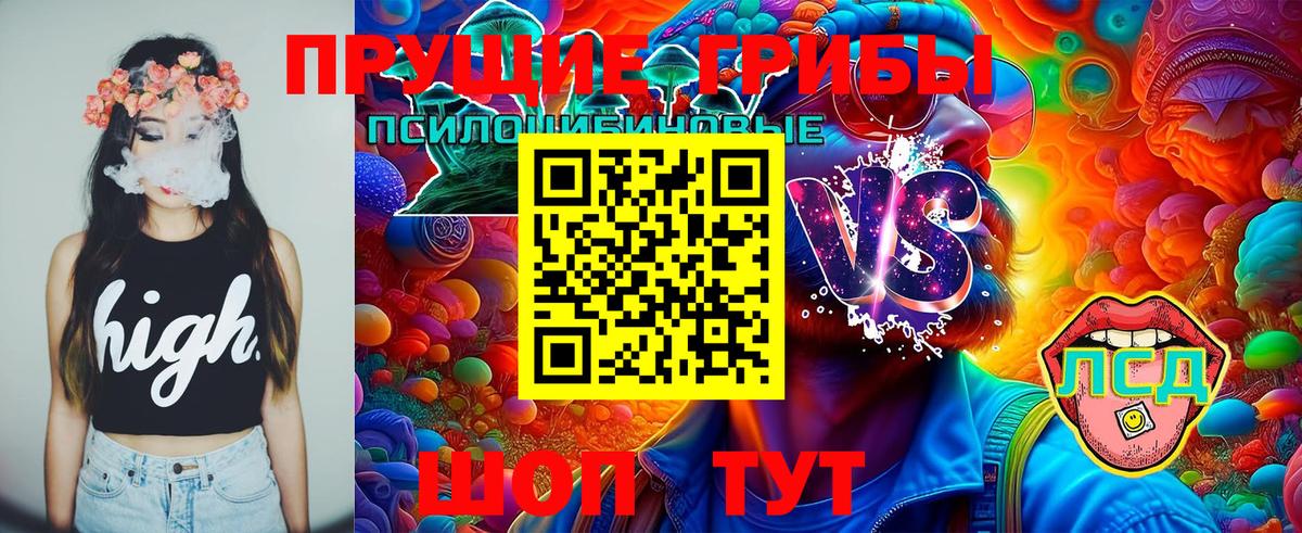 Псилоцибиновые грибы Magic Shrooms  Псилоцибиновые грибы Cubensis  цены наркотик  Майский 