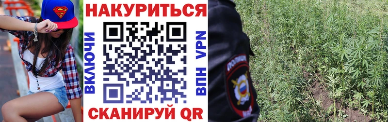 купить наркотик  мориарти наркотические препараты  Бошки Шишки OG Kush  Майский 